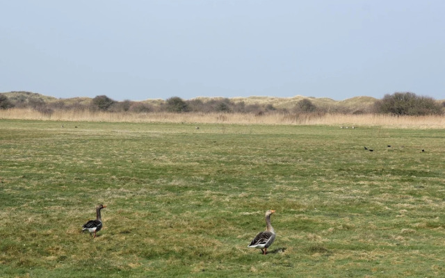 Peaceful Villa in De Koog near Sea