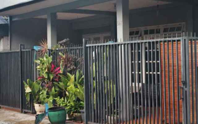 RELIC ROOM House of plants