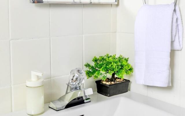 Bright 1BR Apt With King bed - Near DT Hamilton