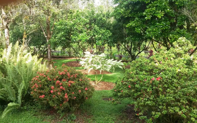 The Kimos' Ohanas B&B