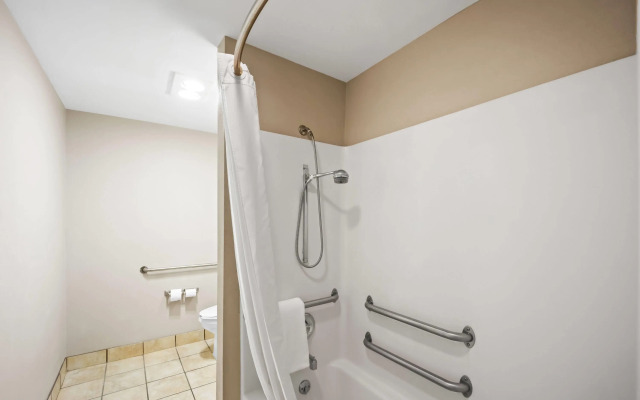 Microtel Inn & Suites by Wyndham Greensboro