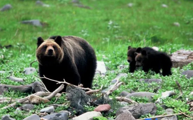 4th Floor of NY Building