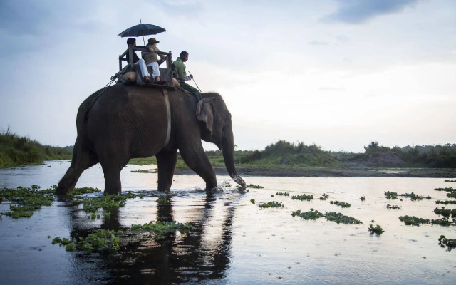 Meghauli Serai, A Taj Safari Lodge