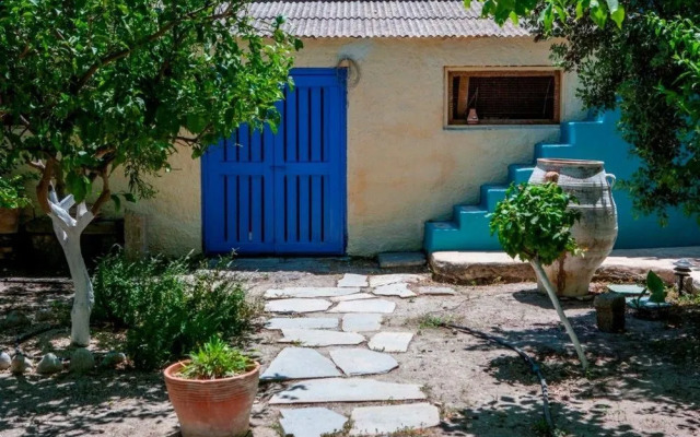 Dream House