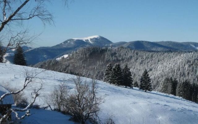 Berggasthaus Gisiboden Alm
