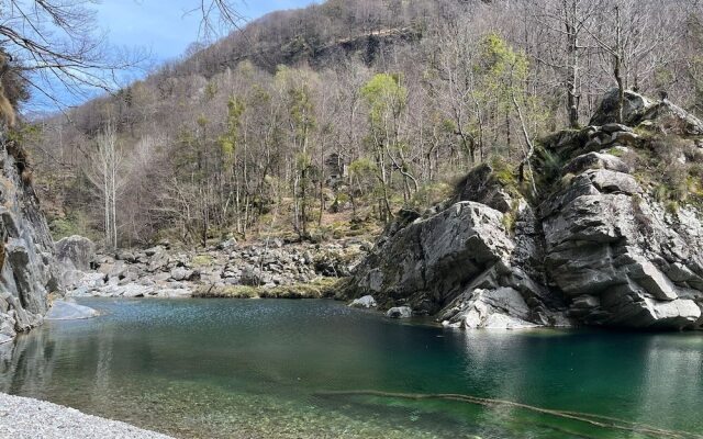 Room in Guest Room - Cavergno - Casa Coerente