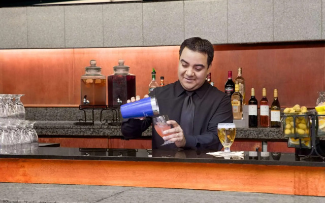 Embassy Suites by Hilton Chicago O'Hare Rosemont