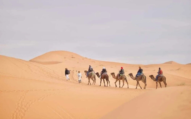 Tiwira Camp