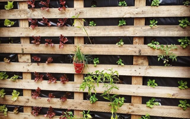 Albergue Albor - Hostel