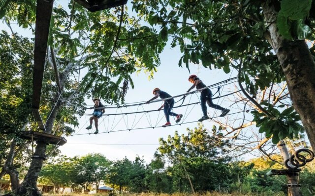 Discovery Coron