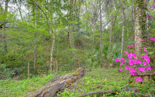 Vacation Home Rental in Gainesville, Florida!