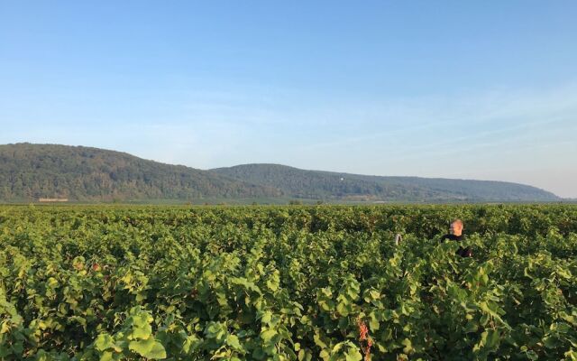 Alter Winzerhof Weisenheim am Berg e.K.