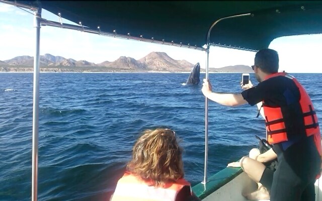 Bungalows Cabo Pulmo