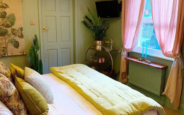 The George Inn - Blackawton