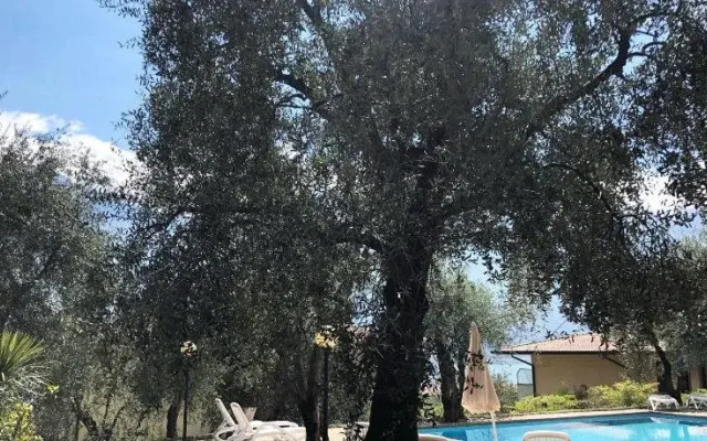 Residence Ambra