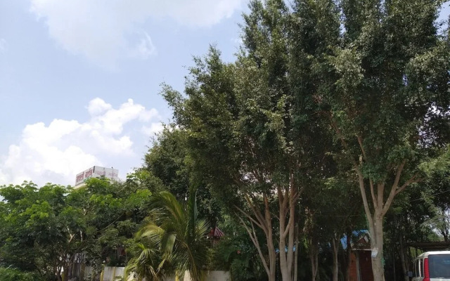 Hotel Savali Lodging