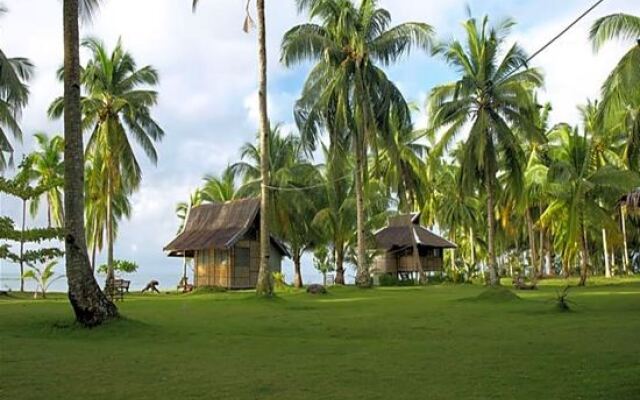 Tarzan's Beach Resort