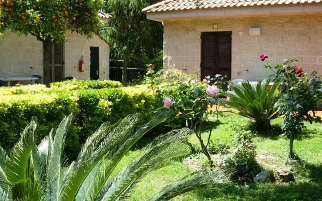 Bluegreen Village