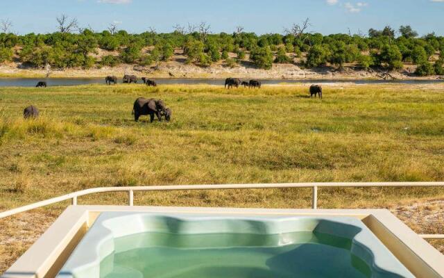 Chobe Princesses by Mantis