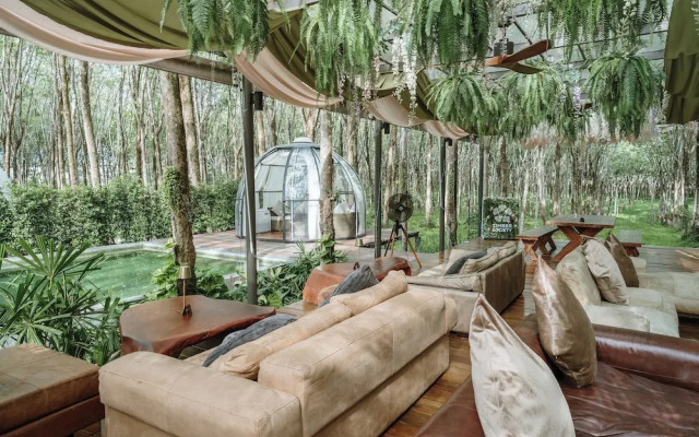 Timber Society Boutique Hideaway