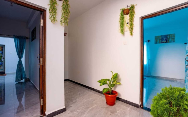 Goan Fiesta Studio Calangute