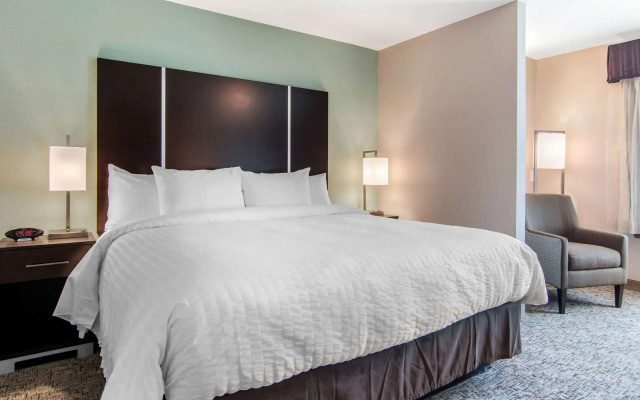 Clarion Inn & Suites Atlanta Downtown