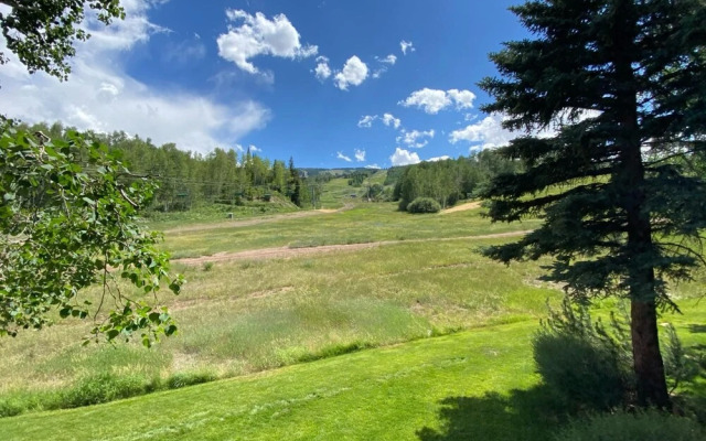 True Ski-in Ski-out Stunning Mountain Views