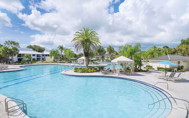 Saddlebrook Golf Resort & Spa Tampa North - Wesley Chapel