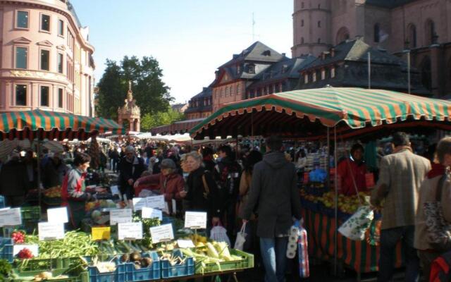 City-Dachapartment Mainz