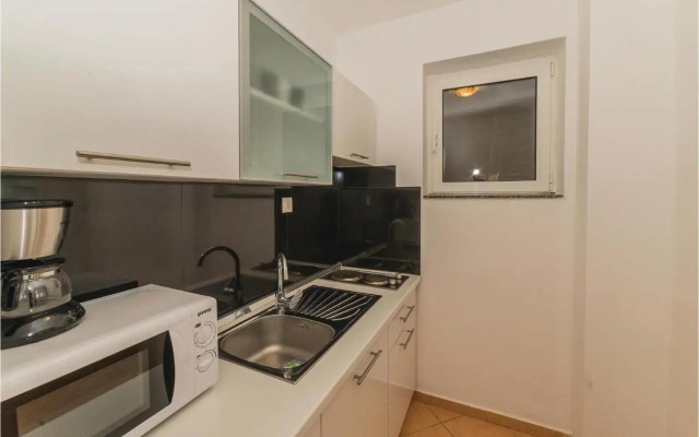 Apartment Portorusa V