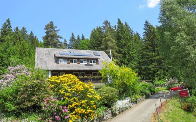 Apartment Ganter Hinterzarten