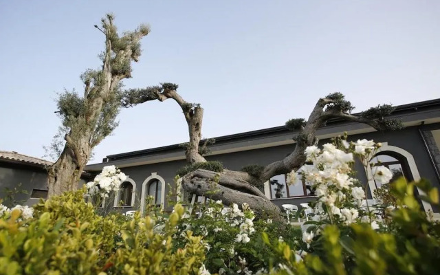 Guest House Terra di Venera