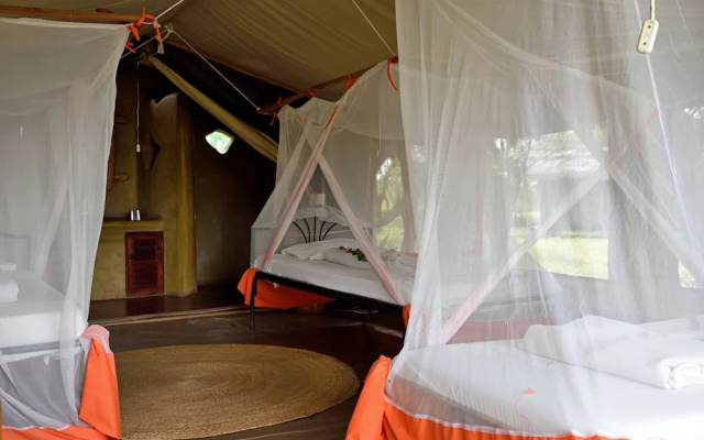 Ikoma Bush Camp