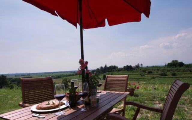 Casali del Picchio - Winery