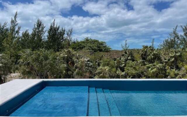 Gumbo Limbo