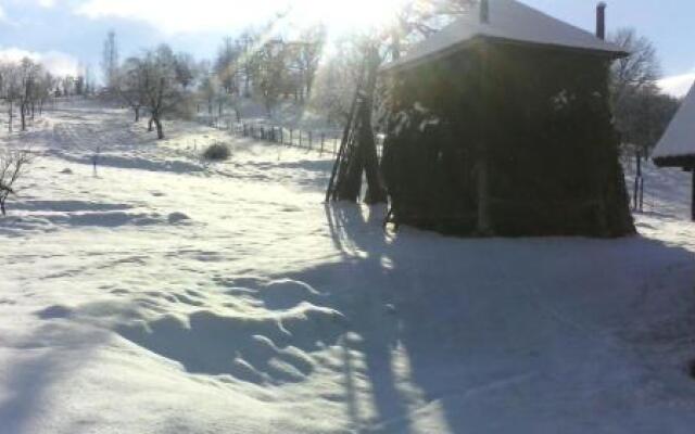 Floare de Maramures