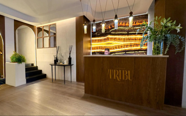 Tribu Malasaña