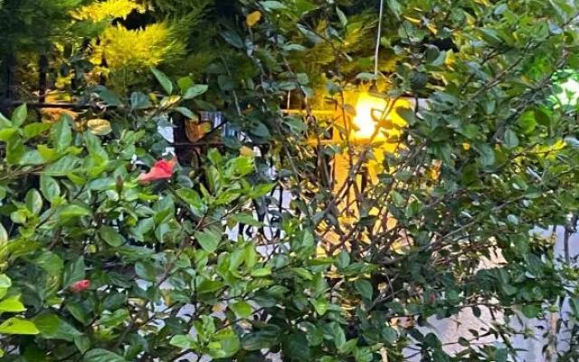 Villa Inci Apart Otel Cesme