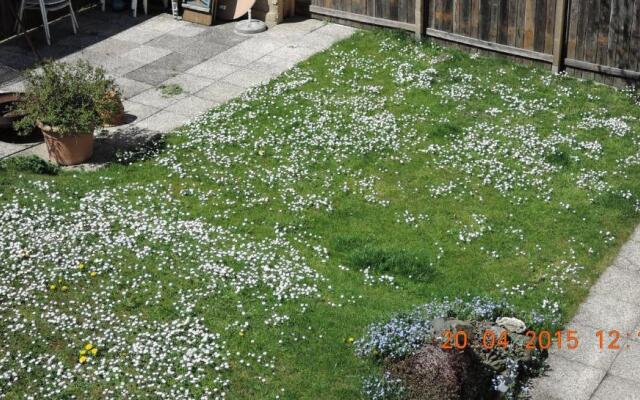 Stadtnahe Landwohnung