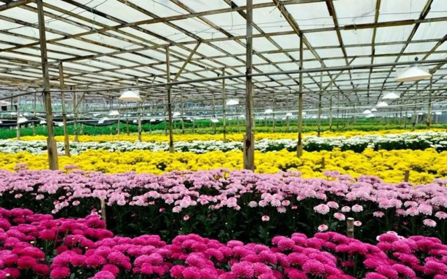 Strawberry Park Resort
