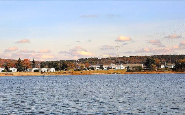 The Cove