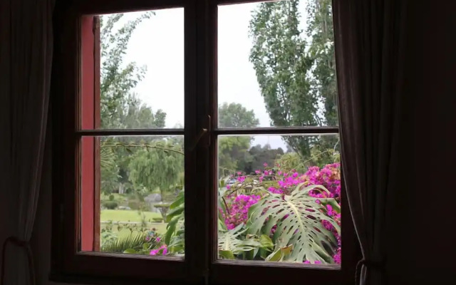 El Arbol Hostel