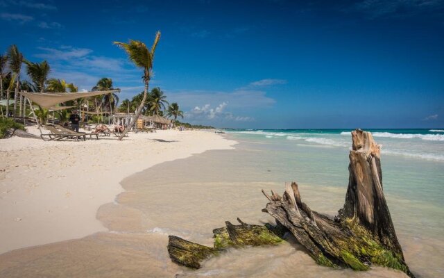 Tulum Aura Beach