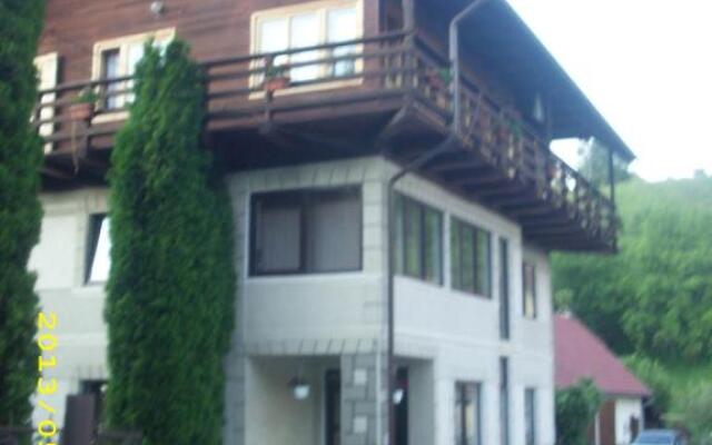 Pensiunea Belvedere