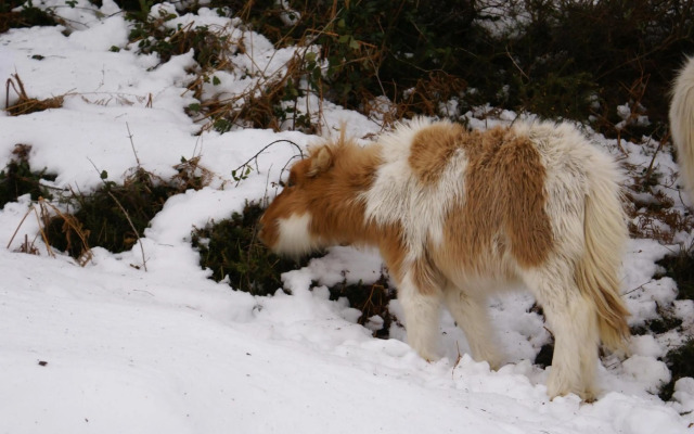 Duplex Usuaia con Jacuzzi