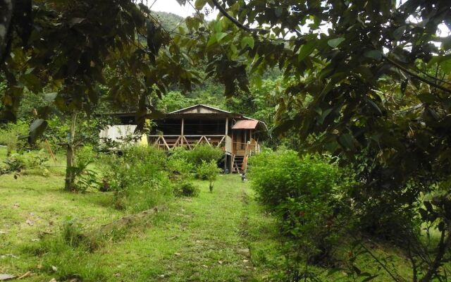 Tunky Wasi - Sapan Sachayoc - Hostel