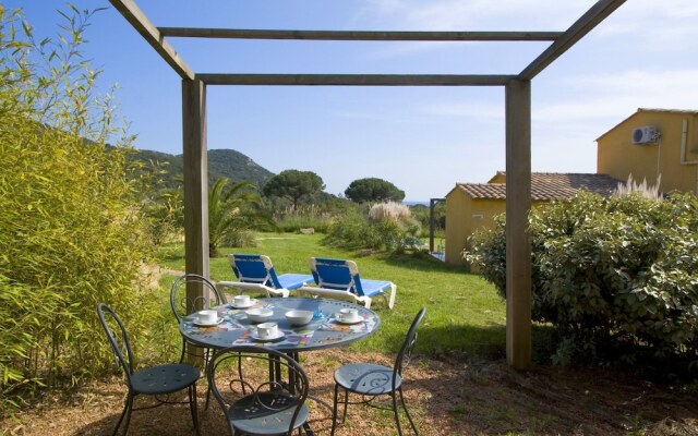 Palmiers de Palombaggia