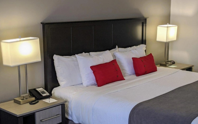 Chateau Bedford, Trademark Collection by Wyndham