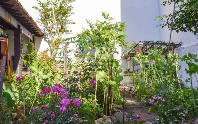 Noemia Brazil Cama e Café - Suíte independente