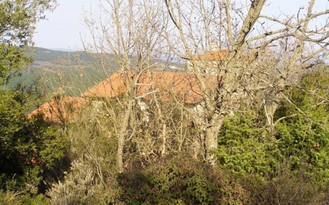 Ariadne Eco Retreat